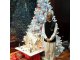 MERRY CHRISTMAS 2016- SHAHID AMIN KHAN -  International Human Rights Commission -Secretariat World Chairman & Ambassador at Large   World Peace Mission Organization Chairman  Department of