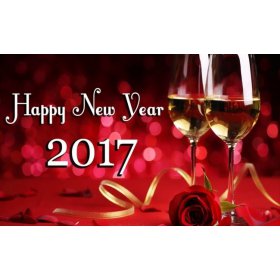HAPPY NEW YEAR 2017  - is the wish  team PACIFIST JOURNAL for you!! Much HAPPINESS,  HEALTH and PEACE of course