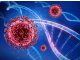 Em 2020 -  OMS considera o novo Coronavírus como pandemia; saiba o que isso significa